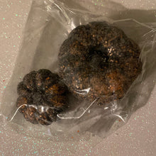 Load image into Gallery viewer, WAX-XIDENTS, DISCONTINUED & REDUCED SECTION.