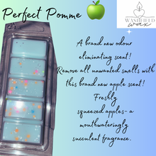 Load image into Gallery viewer, SnapBars Wax Melt