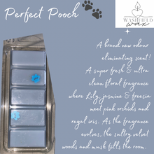 Load image into Gallery viewer, SnapBars Wax Melt