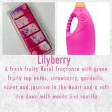 Load image into Gallery viewer, SnapBars Wax Melt