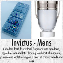 Load image into Gallery viewer, SnapBars Wax Melt