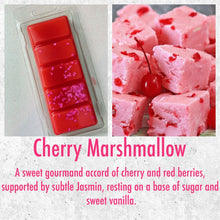 Load image into Gallery viewer, SnapBars Wax Melt