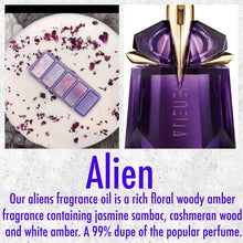 Load image into Gallery viewer, SnapBars Wax Melt